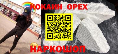 дживик Можга