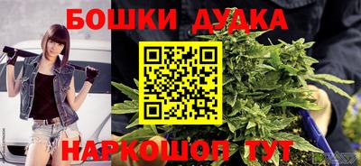 a pvp Моздок
