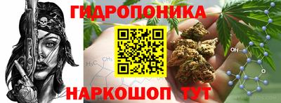 дживик Можга